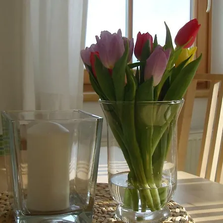 Jaegerrast Ramsau am Dachstein