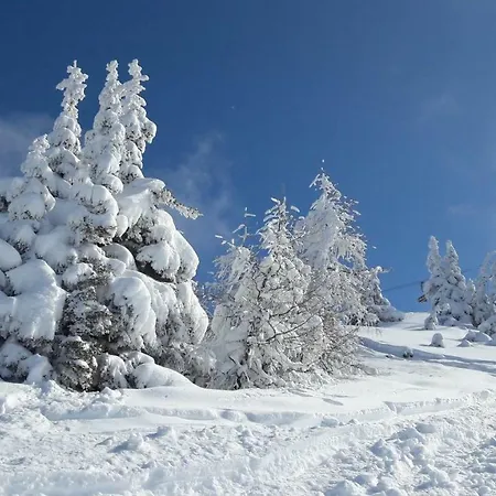 Jaegerrast Apartmán *