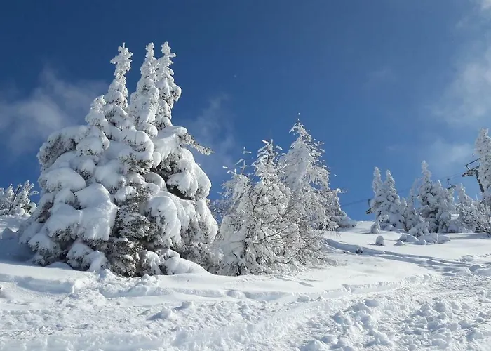 Jaegerrast Apartment *